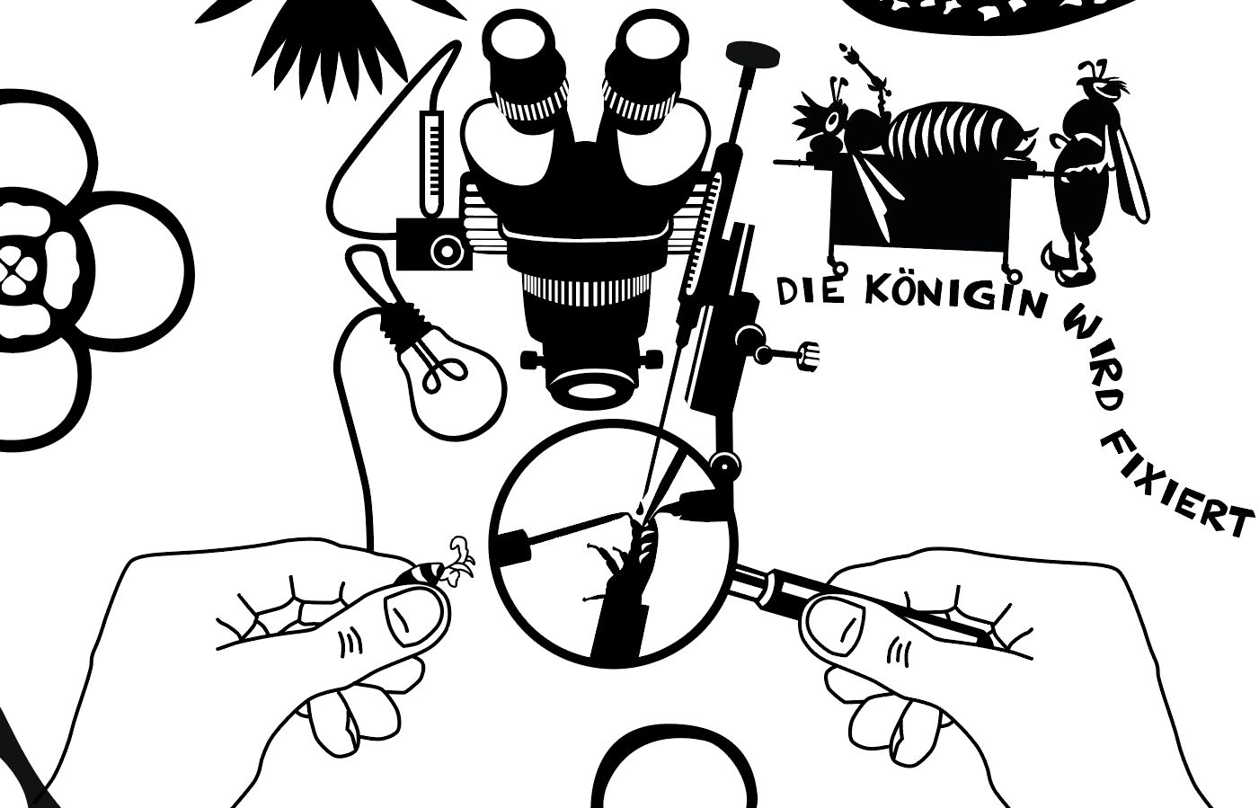 Instrumentelle Besamung von Bienen
