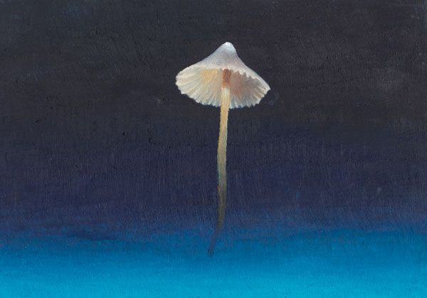 Fallschirm_0.jpg width='300'