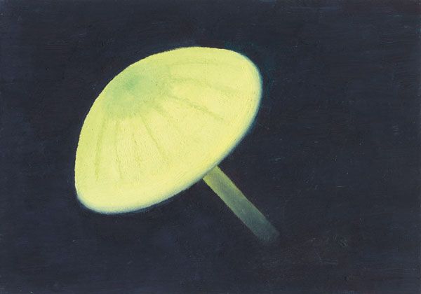 Saftling_1.jpg width='300'