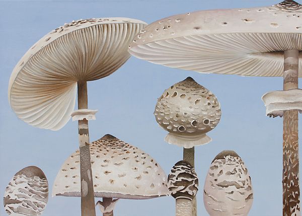 0parasole.jpg width='300'