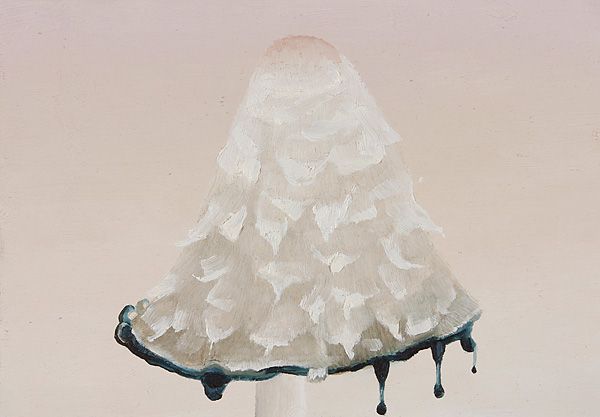 tintling4.jpg width='300'