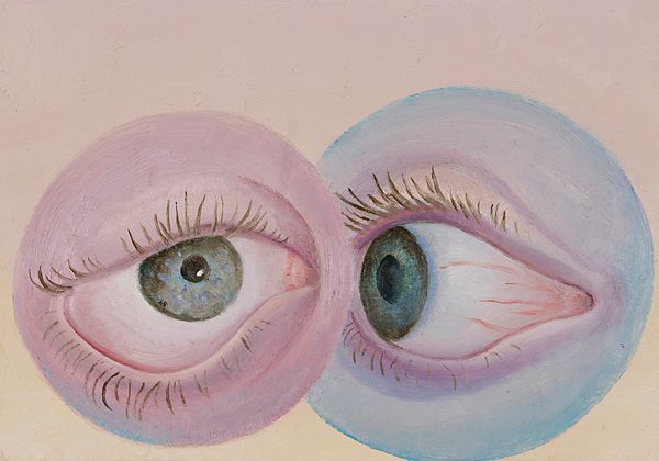 auge1.jpg width='300'